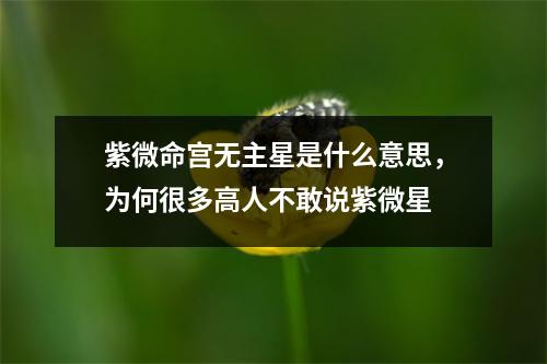 紫微命宫无主星是什么意思，为何很多高人不敢说紫微星