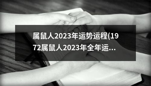 属鼠人2023年运势运程(1972属鼠人2023年全年运势运程男)