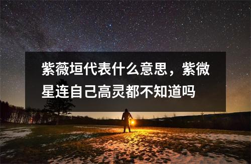 紫薇垣代表什么意思，紫微星连自己高灵都不知道吗