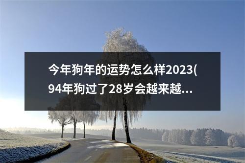 今年狗年的运势怎么样2023(94年狗过了28岁会越来越好)