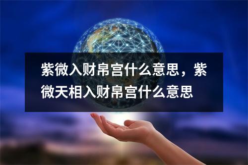 紫微入财帛宫什么意思，紫微天相入财帛宫什么意思