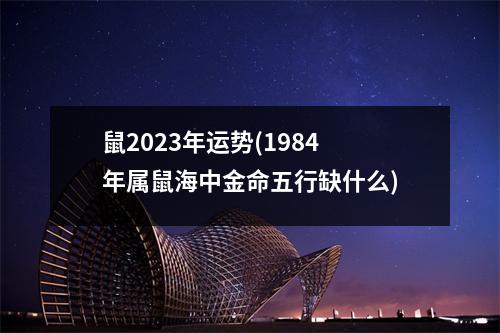 鼠2023年运势(1984年属鼠海中金命五行缺什么)