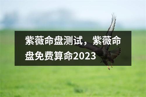 紫薇命盘测试，紫薇命盘免费算命2023