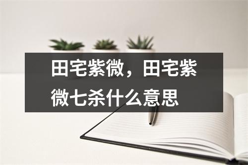 田宅紫微，田宅紫微七杀什么意思