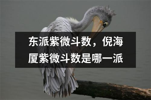 东派紫微斗数，倪海厦紫微斗数是哪一派