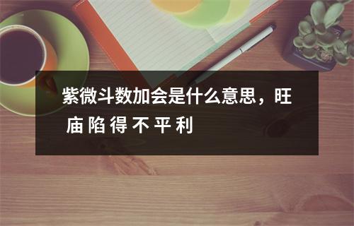 紫微斗数加会是什么意思，旺 庙 陷 得 不 平 利