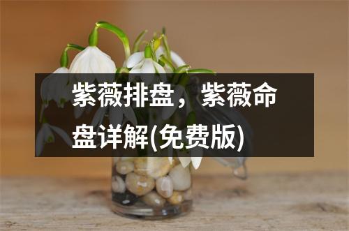 紫薇排盘，紫薇命盘详解(免费版)