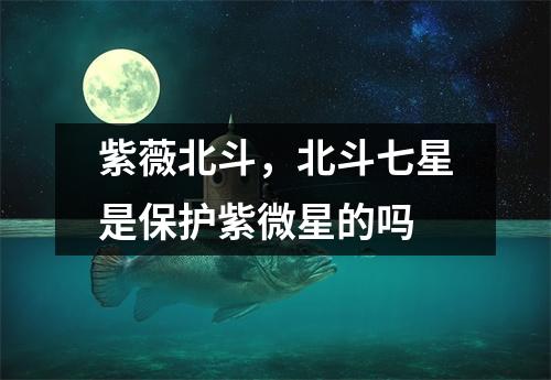 紫薇北斗，北斗七星是保护紫微星的吗