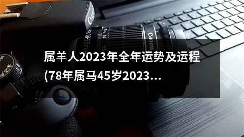 属羊人2023年全年运势及运程(78年属马45岁2023劫难)