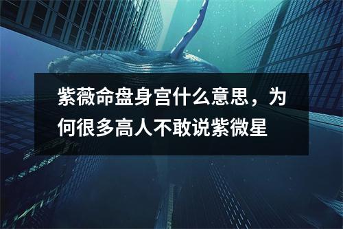 紫薇命盘身宫什么意思，为何很多高人不敢说紫微星