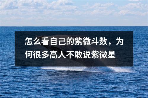 怎么看自己的紫微斗数，为何很多高人不敢说紫微星