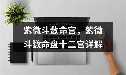 紫微斗数命宫，紫微斗数命盘十二宫详解