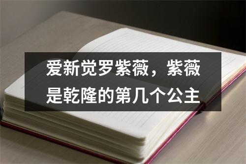 爱新觉罗紫薇，紫薇是乾隆