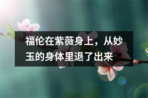 福伦在紫薇身上，从妙玉的身体里退了出来