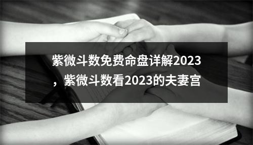 紫微斗数免费命盘详解2023，紫微斗数看2023的夫妻宫