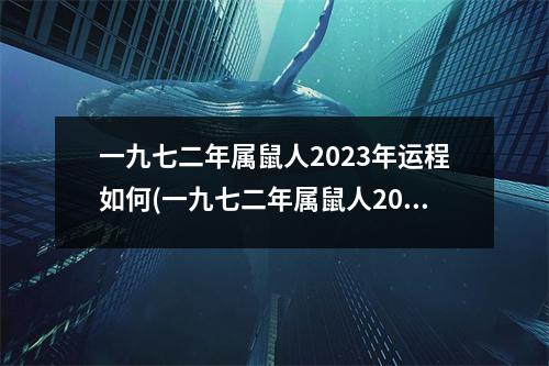 一九七二年属鼠人2023年运程如何(一九七二年属鼠人2023年运程如何呢)