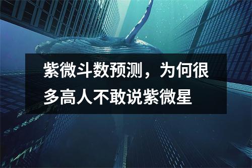 紫微斗数预测，为何很多高