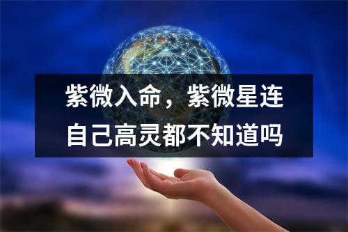 紫微入命，紫微星连自己高灵都不知道吗