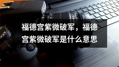 福德宫紫微破军，福德宫紫微破军是什么意思