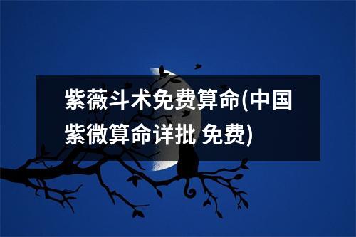 紫薇斗术免费算命(中国紫微算命详批 免费)