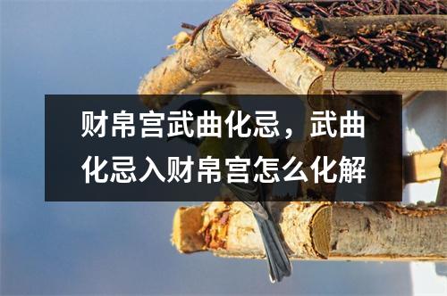 财帛宫武曲化忌，武曲化忌入财帛宫怎么化解