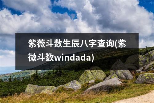 紫薇斗数生辰八字查询(紫微斗数windada)