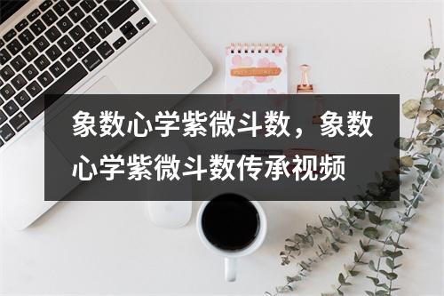 象数心学紫微斗数，象数心学紫微斗数传承