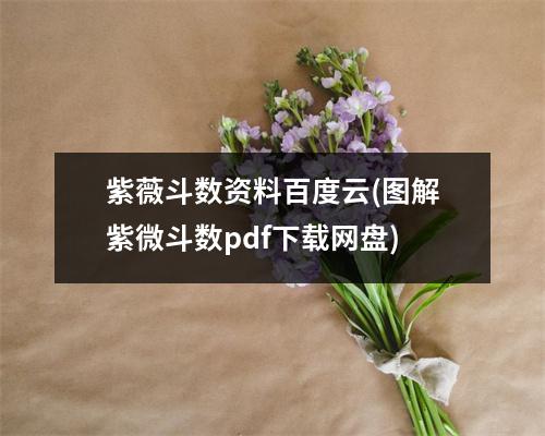 紫薇斗数资料(图解紫微斗数pdf)