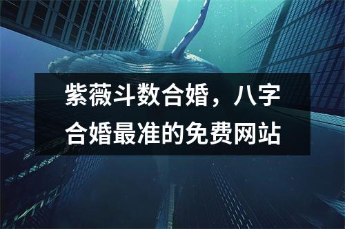 紫薇斗数合婚，八字合婚准的免费网站