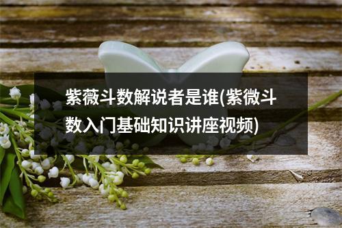 紫薇斗数解说者是谁(紫微斗数入门基础知识讲座)