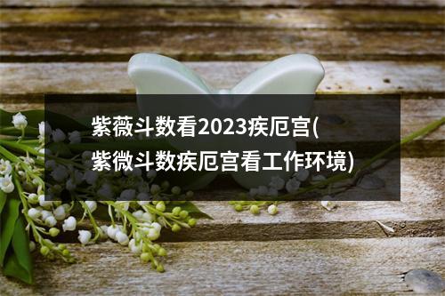 紫薇斗数看2023疾厄宫(紫微斗数疾厄宫看工作环境)