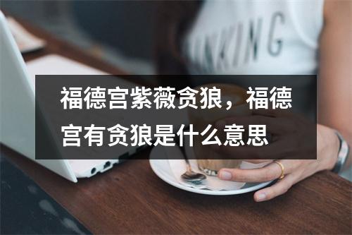 福德宫紫薇贪狼，福德宫有贪狼是什么意思