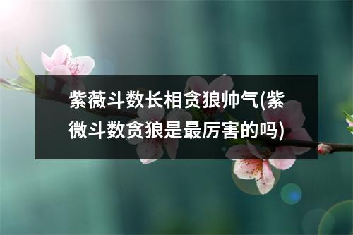 紫薇斗数长相贪狼帅气(紫微斗数贪狼是最厉害的吗)