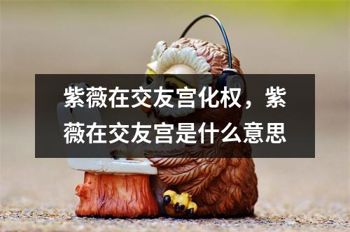 紫薇在交友宫化权，紫薇在交友宫是什么意思