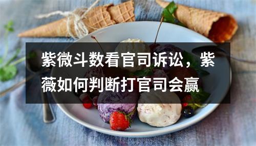 紫微斗数看官司诉讼，紫薇如何判断打官司会赢