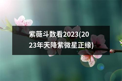 紫薇斗数看2023(2023年天降紫微星正缘)