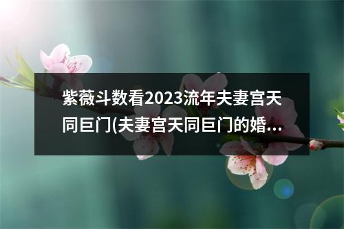 紫薇斗数看2023流年夫妻宫天同巨门(夫妻宫天同巨门的婚姻好不好)