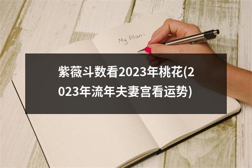 紫薇斗数看2023年桃花(2023年流年夫妻宫看运势)