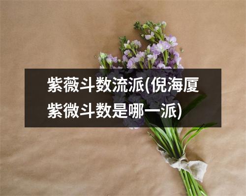 紫薇斗数流派(倪海厦紫微斗数是哪一派)