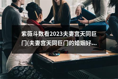 紫薇斗数看2023夫妻宫天同巨门(夫妻宫天同巨门的婚姻好不好)