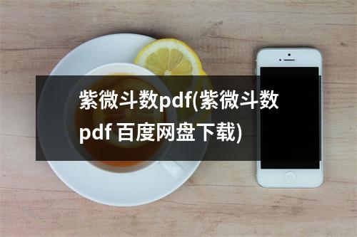 紫微斗数pdf(紫微斗数pdf 百度网盘下载)