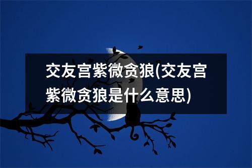 交友宫紫微贪狼(交友宫紫微贪狼是什么意思)