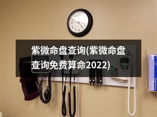 紫微命盘查询(紫微命盘查询免费算命2022)