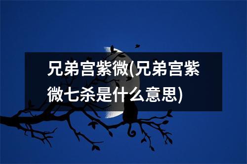 兄弟宫紫微(兄弟宫紫微七杀是什么意思)