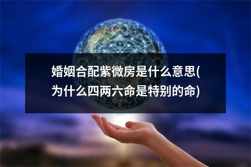 婚姻合配紫微房是什么意思(为什么四两六命是特别的命)