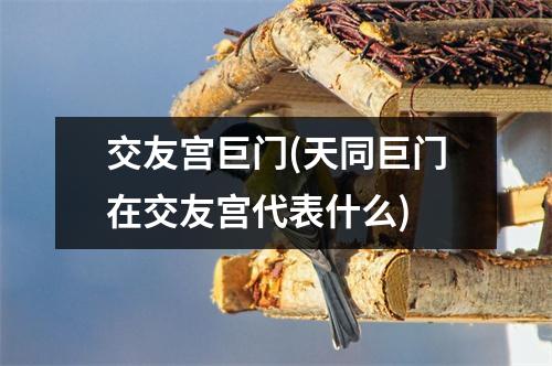 交友宫巨门(天同巨门在交友宫代表什么)