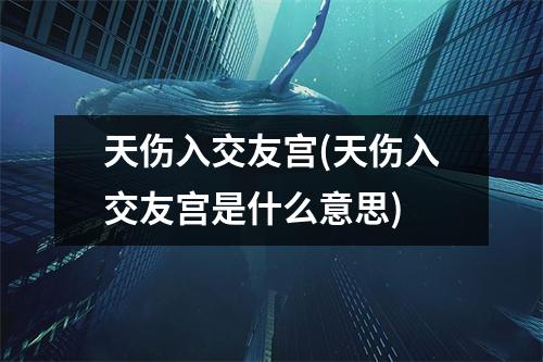 天伤入交友宫(天伤入交友宫是什么意思)