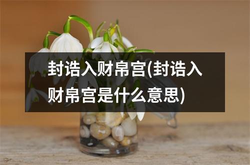 封诰入财帛宫(封诰入财帛宫是什么意思)