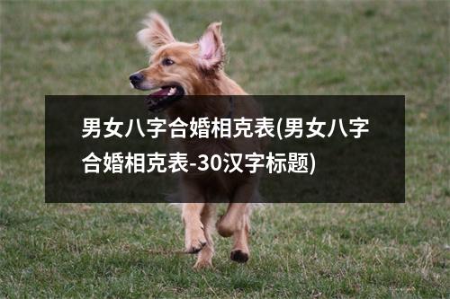 男女八字合婚相克表(男女八字合婚相克表-30汉字标题)