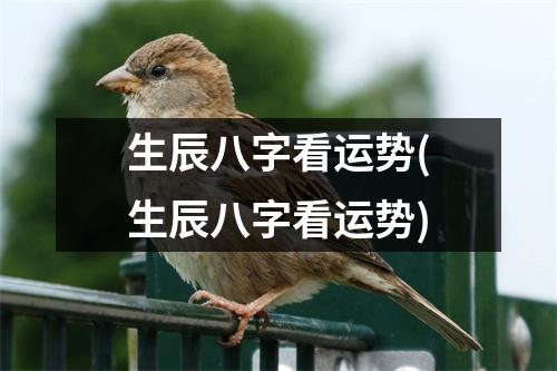 生辰八字看运势(生辰八字看运势)